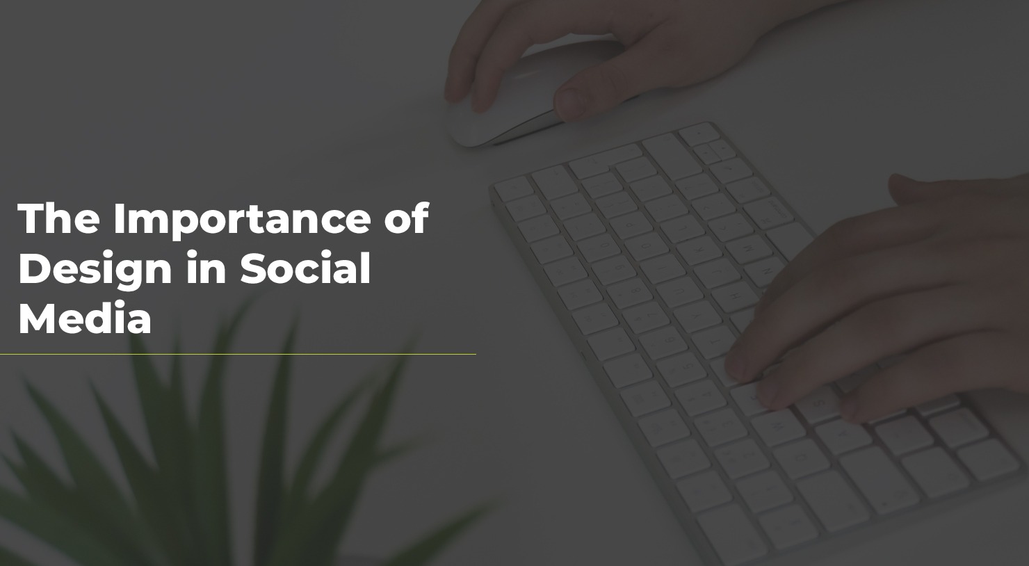 Importance of Design in Social Media, Social Media Agency Hull