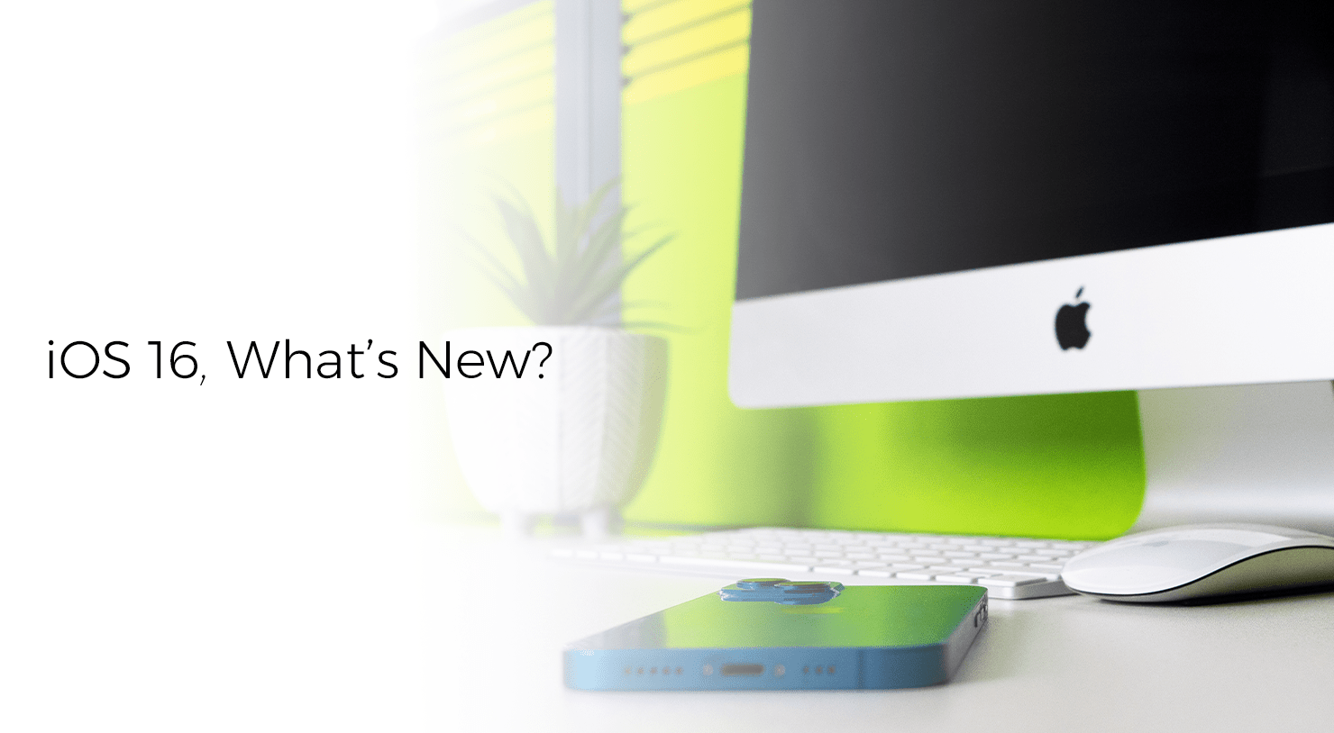 What is new in iOS16, Website Design Hull