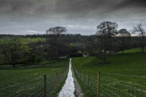 A stone path leading through green farm land.